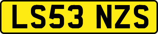 LS53NZS