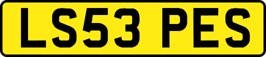 LS53PES
