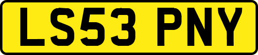LS53PNY