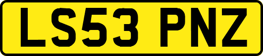 LS53PNZ
