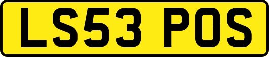 LS53POS