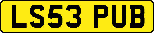 LS53PUB