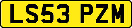 LS53PZM