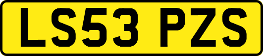 LS53PZS