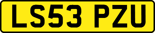 LS53PZU