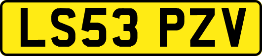 LS53PZV