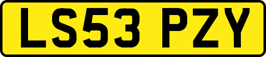 LS53PZY