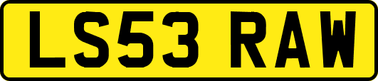 LS53RAW