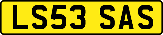 LS53SAS