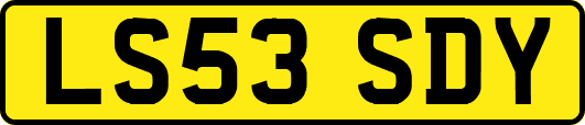 LS53SDY