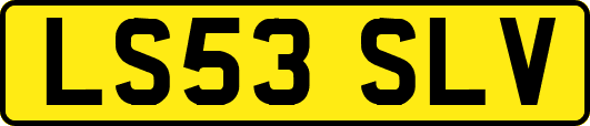 LS53SLV
