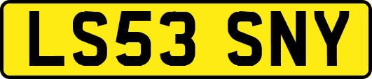 LS53SNY