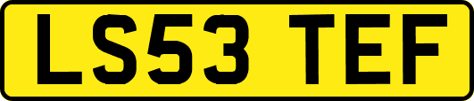 LS53TEF