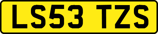 LS53TZS