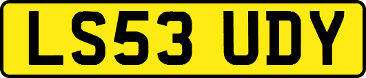 LS53UDY