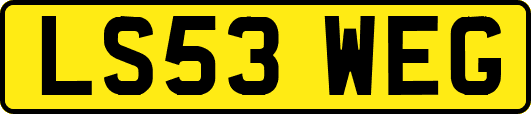 LS53WEG