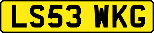 LS53WKG