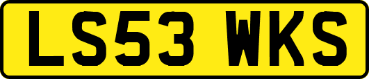 LS53WKS