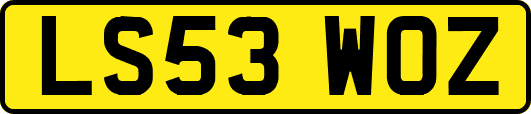 LS53WOZ