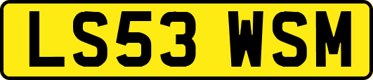 LS53WSM
