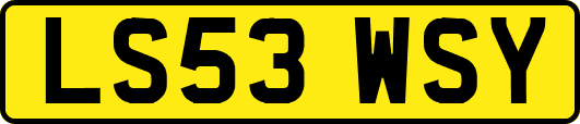 LS53WSY