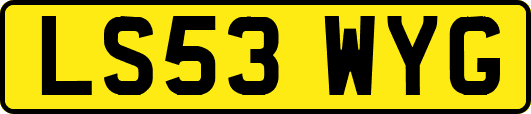 LS53WYG