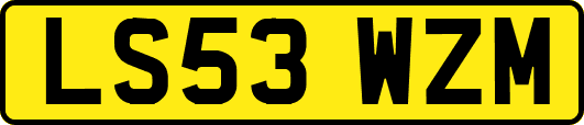 LS53WZM