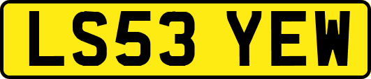 LS53YEW