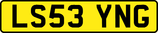 LS53YNG