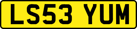 LS53YUM