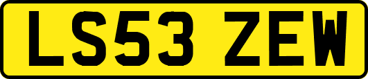 LS53ZEW