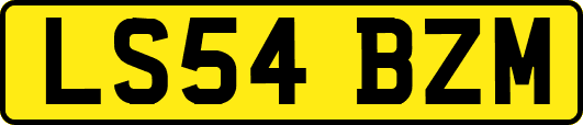 LS54BZM