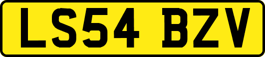 LS54BZV