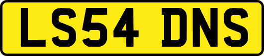 LS54DNS