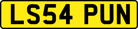 LS54PUN