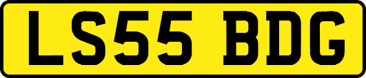 LS55BDG