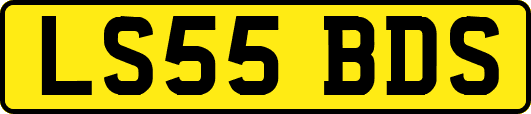 LS55BDS