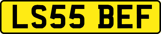 LS55BEF