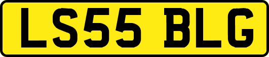 LS55BLG