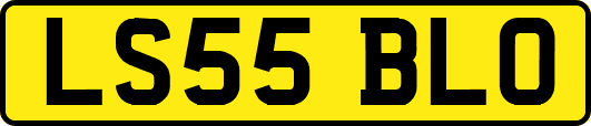 LS55BLO