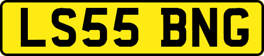 LS55BNG