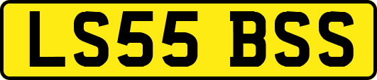 LS55BSS