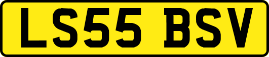 LS55BSV