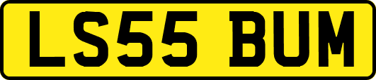 LS55BUM