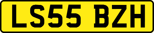 LS55BZH