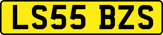 LS55BZS