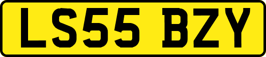 LS55BZY