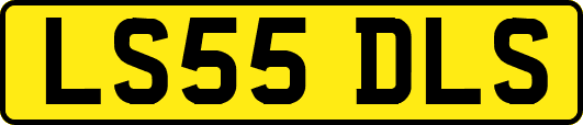 LS55DLS