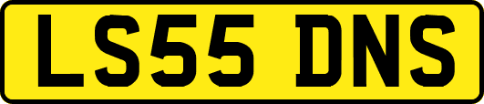 LS55DNS