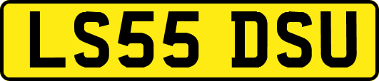 LS55DSU